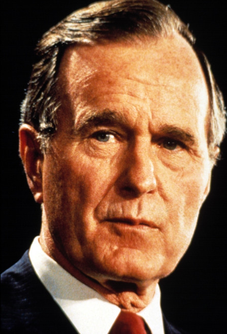 George Bush History - Item # VAREVCPSDGEBUEC004