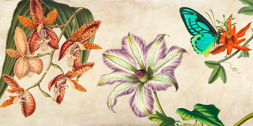Panneau Botanique I Poster Print by Remy Dellal - Item # VARPDX2DE4160