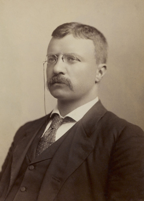 Colonel Theodore Roosevelt History - Item # VAREVCHISL044EC697