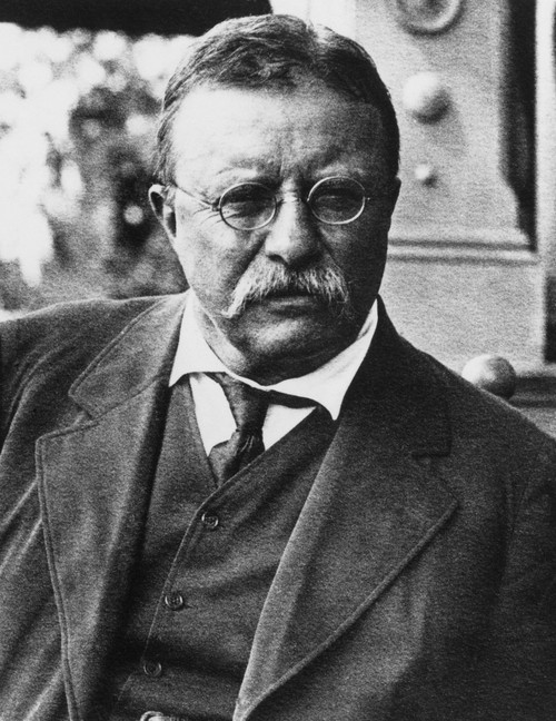 Theodore Roosevelt History - Item # VAREVCPBDTHROCS009