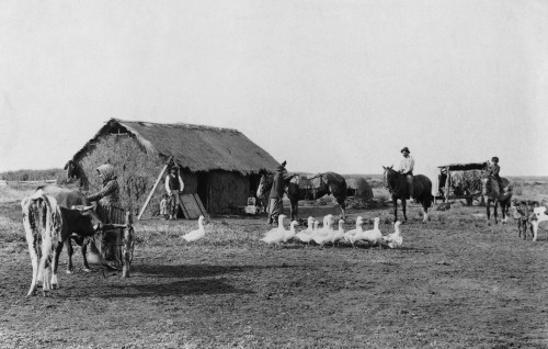 Immigrant'S Home Of Primitive Construction In Rural Argentina History - Item # VAREVCHISL017EC104