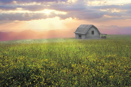 Morning Has Broken Poster Print by Celebrate Life Gallery - Item # VARPDXVDP125