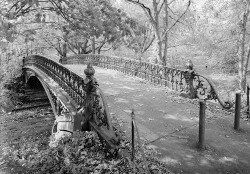 New York City History - Item # VAREVCHCDLCGAEC789