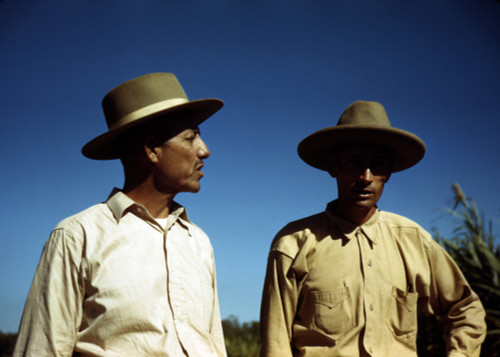 Puerto Rico. Sugar Cane Workers History - Item # VAREVCHCDLCGBEC983