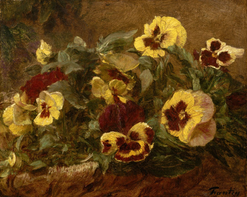 Pansies Fine Art