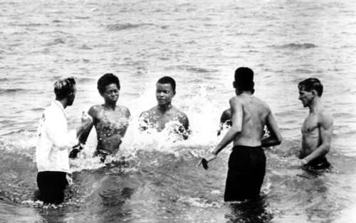 Segregation History - Item # VAREVCSBDSEGRCS001