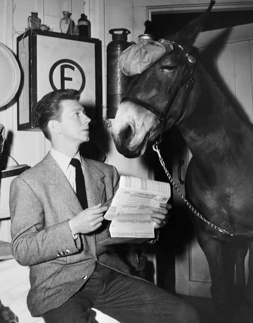 Francis Goes To The Races Still - Item # VAREVCMBDFRGOEC027