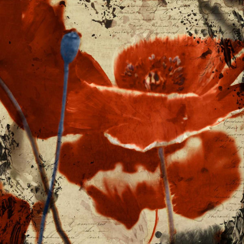 Poppy Love I Poster Print by Matina Theodosiou - Item # VARPDXTE012A