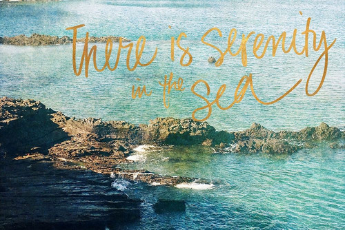 Serenity At The Sea Poster Print by Anna Coppel - Item # VARPDX11537K