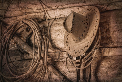 Cowboy Hat and Rope Poster Print by Kathy Mahan - Item # VARPDXPSMHN737