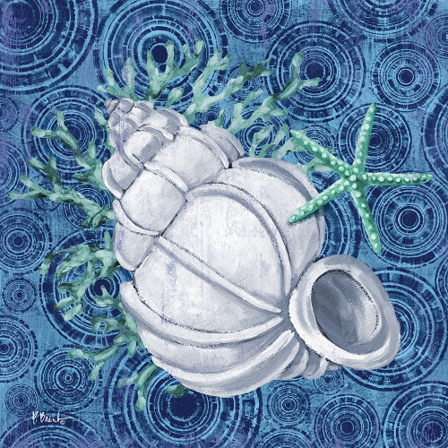 Silverplate Shells III Poster Print by Paul Brent - Item # VARPDXBNT1388