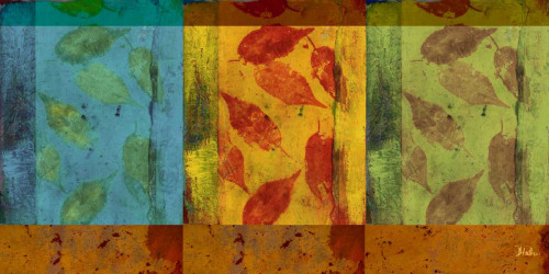 Organic Feast II Poster Print by Patricia Pinto - Item # VARPDX10492