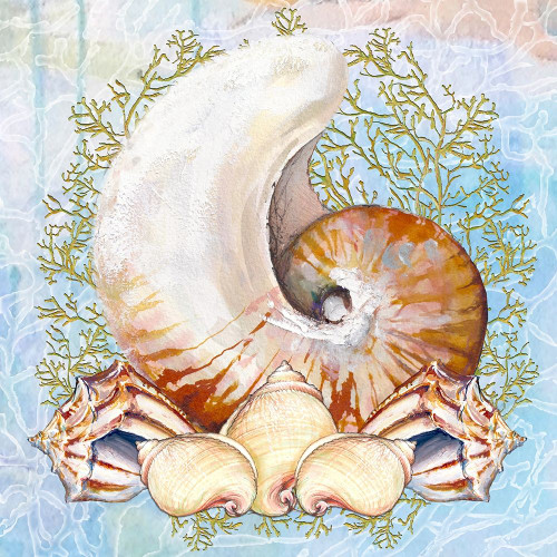 Shell Medley V Poster Print by Diannart - Item # VARPDX13399F