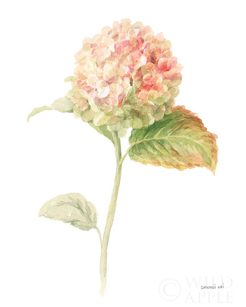 Floursack Florals on White V Poster Print by Danhui Nai - Item # VARPDX41483