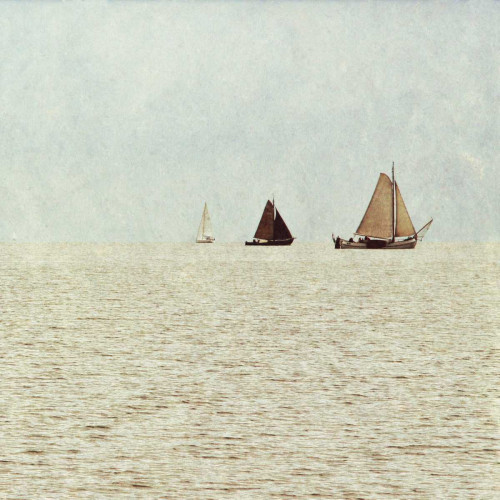 Sail Boats II Poster Print by Kathy Mansfield - Item # VARPDX10690B