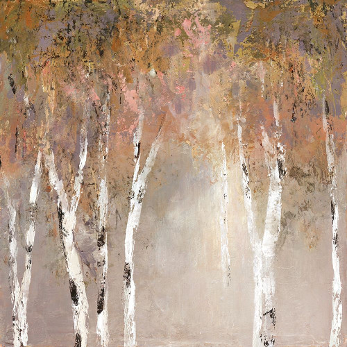 Sunlit Birch II Poster Print by Carol Robinson - Item # VARPDX19507