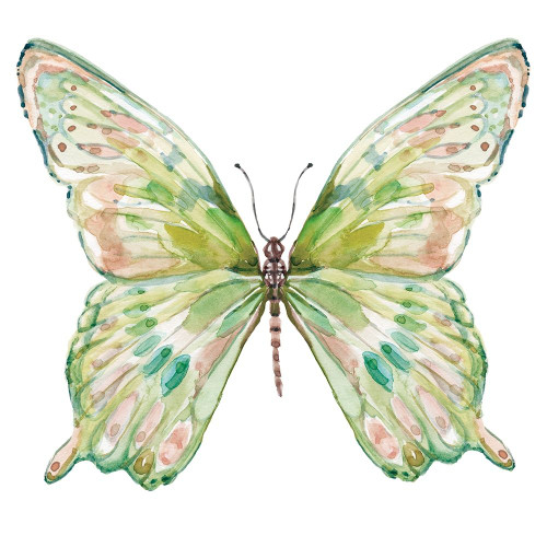 Soft Wings I Poster Print by Carol Robinson - Item # VARPDX40092