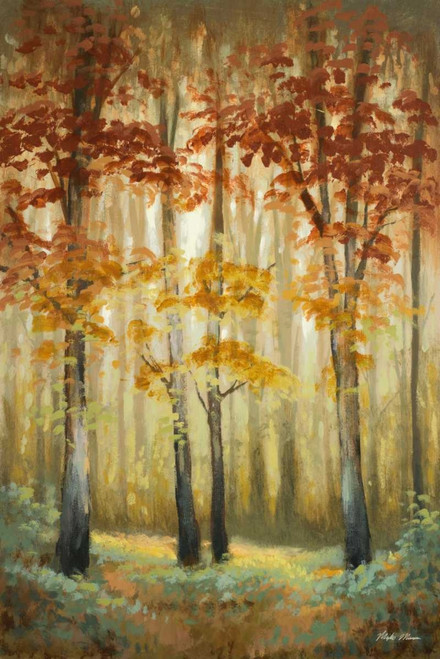 Woodland Glow I Poster Print by Michael Marcon - Item # VARPDX11194