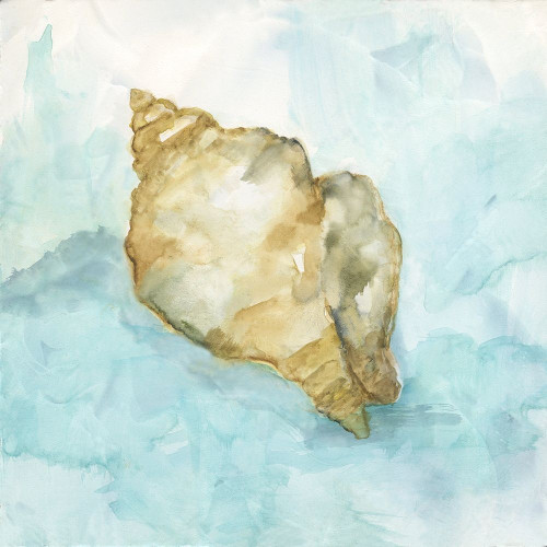 Biscayne Treasure I Poster Print by Nan - Item # VARPDX19946