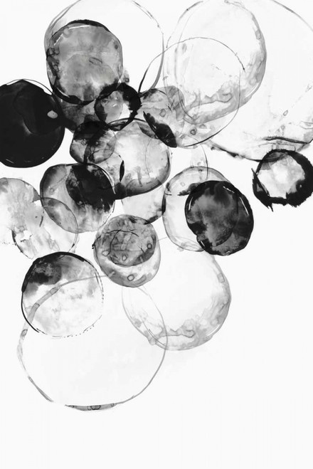 Black Rings I Poster Print by PI Studio - Item # VARPDXPG536A