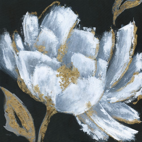 Midnight Bloom Poster Print by Tava Studios - Item # VARPDX19136