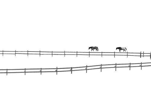 Huang - Untitled Poster Print by 1x - Item # VARPDXXI698A