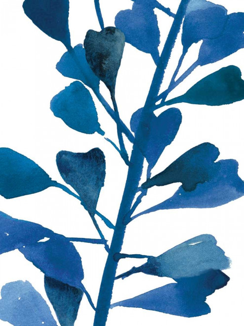 Sapphire Stems VI Poster Print by Asia Jensen - Item # VARPDXJN147A