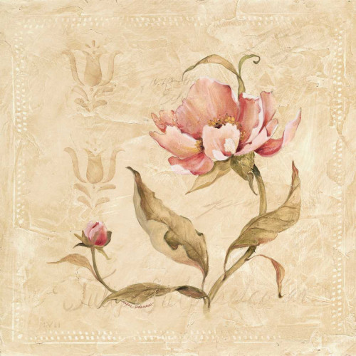 Perfect Peony II Poster Print by Carol Robinson - Item # VARPDX10414