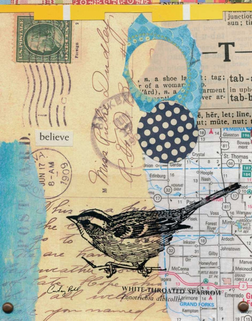 Perched II Poster Print by Courtney Prahl - Item # VARPDX10939