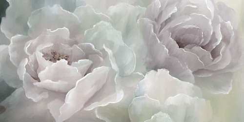 Peony Lace Poster Print by Nan - Item # VARPDX40290