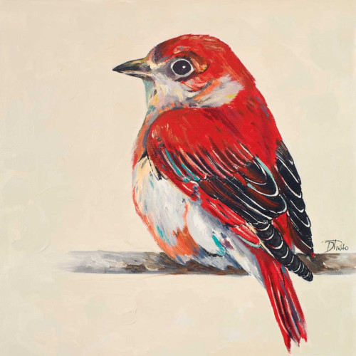 Baby Red Bird II Poster Print by Patricia Pinto - Item # VARPDX10238