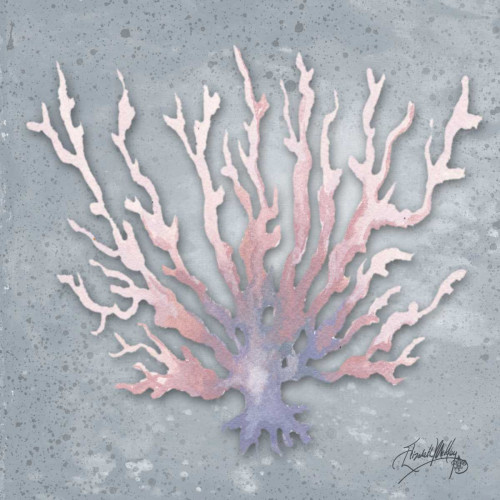 Mermaid Treasure IV Poster Print by Elizabeth Medley - Item # VARPDX11539B