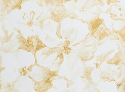 Golden Garden Poster Print by Lanie Loreth - Item # VARPDX13053