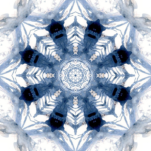 Indigo Kaleidoscope III Poster Print by Nan - Item # VARPDX40480
