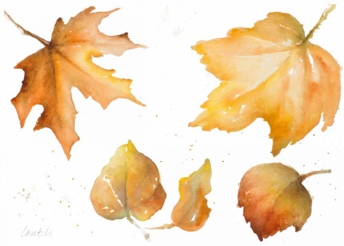 Tawny Autumn Leaves Poster Print by Lanie Loreth - Item # VARPDX12198