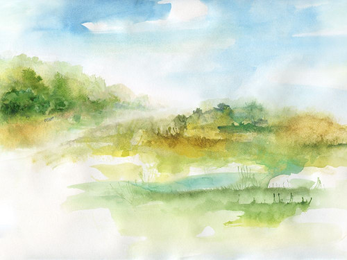 Dreamy Highland Poster Print by Nan - Item # VARPDX19806