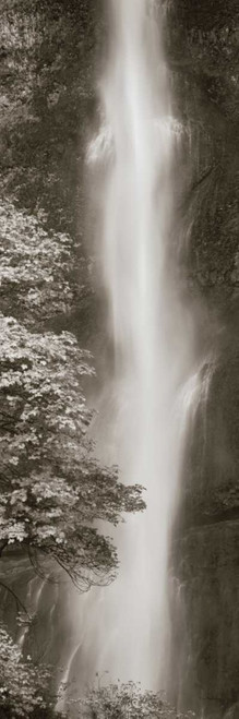 Multnomah Falls Panel Poster Print by Lisa Audit - Item # VARPDX10115
