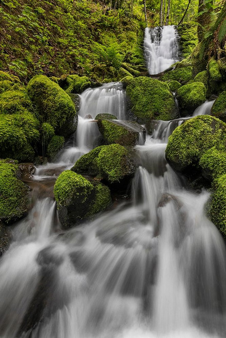 Waterfall I Poster Print by Kathy Mahan - Item # VARPDXPSMHN837