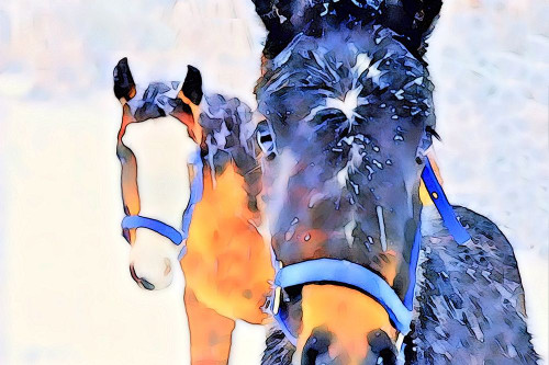 Snow Horses Poster Print by LuAnne Tyrrell - Item # VARPDXRB12769LT