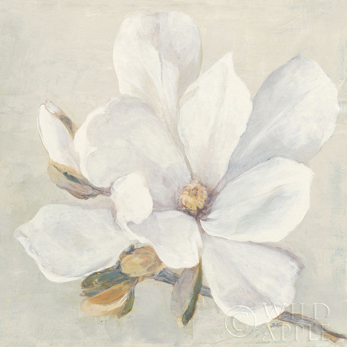 Serene Magnolia Poster Print by Julia Purinton - Item # VARPDX45730