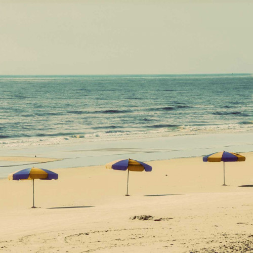 Beach Trip II Poster Print by Gail Peck - Item # VARPDX10153B