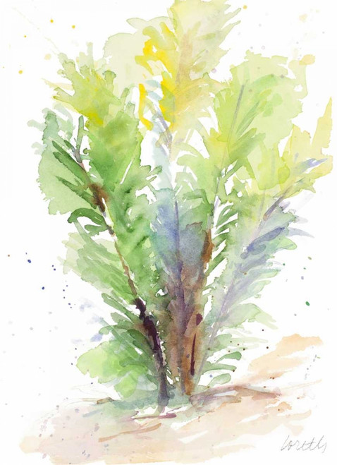 Seagrasses and Eelgrasses V Poster Print by Lanie Loreth - Item # VARPDX12189