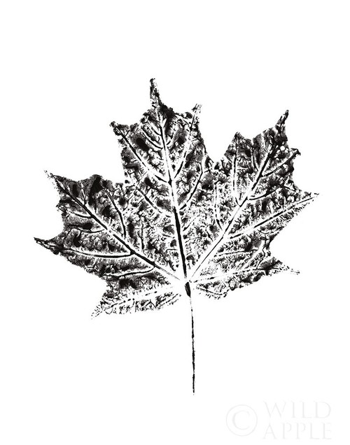 Harvest Sentiments I BW no Words Poster Print by Moira Hershey - Item # VARPDX41573