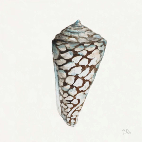 Modern Shell with Teal II Poster Print by Patricia Pinto - Item # VARPDX11496B