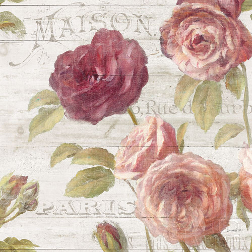French Roses V Poster Print by Danhui Nai - Item # VARPDX46488