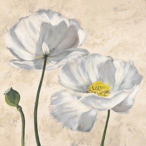 Poppies in White I Poster Print by Villa Luca - Item # VARPDX1LC4508