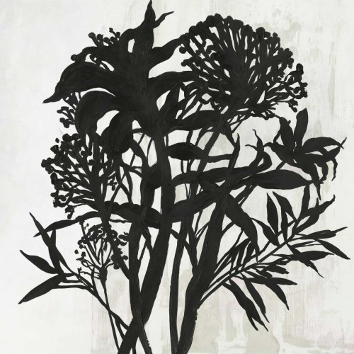 Black Foliage Poster Print by PI Studio - Item # VARPDXPG355A