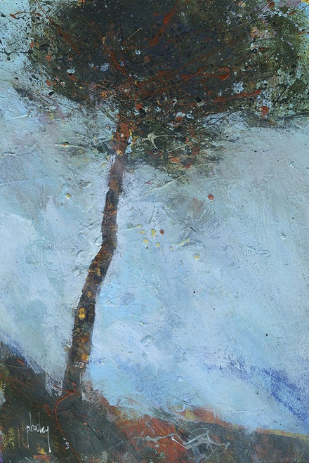 Lone Moorland Pine Poster Print by Paul Bailey - Item # VARPDXB3594D