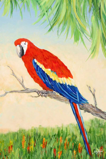 Tropic Bird in Paradise I Poster Print by Julie DeRice - Item # VARPDX10906D
