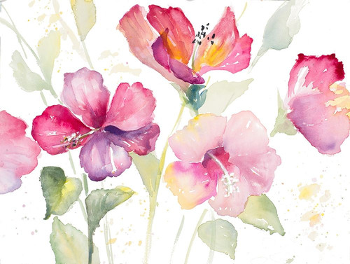 Heavenly Hibiscus Poster Print by Lanie Loreth - Item # VARPDX12454